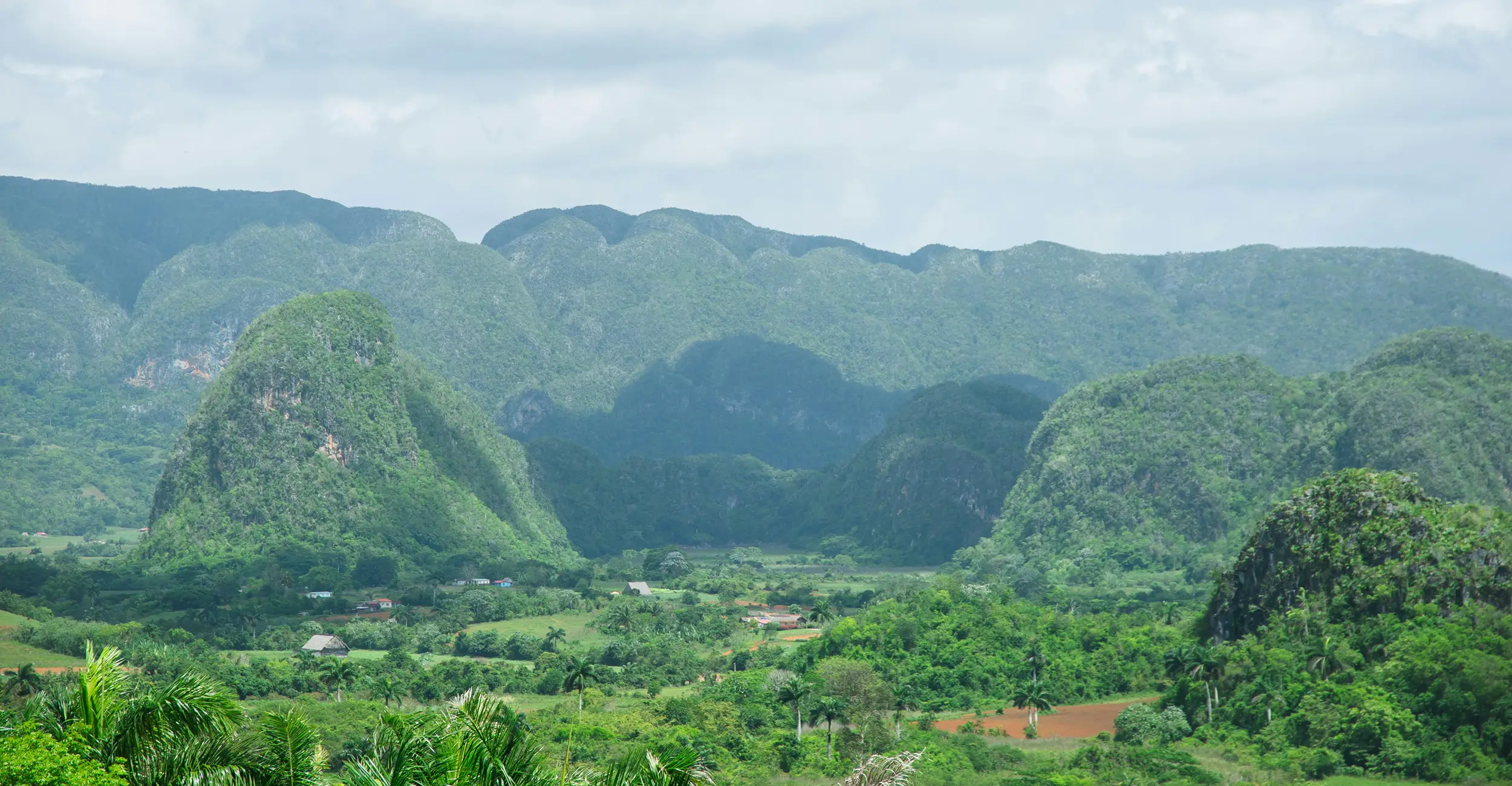 ニッポン・プロダクション・キューバの映像コーディネート会社