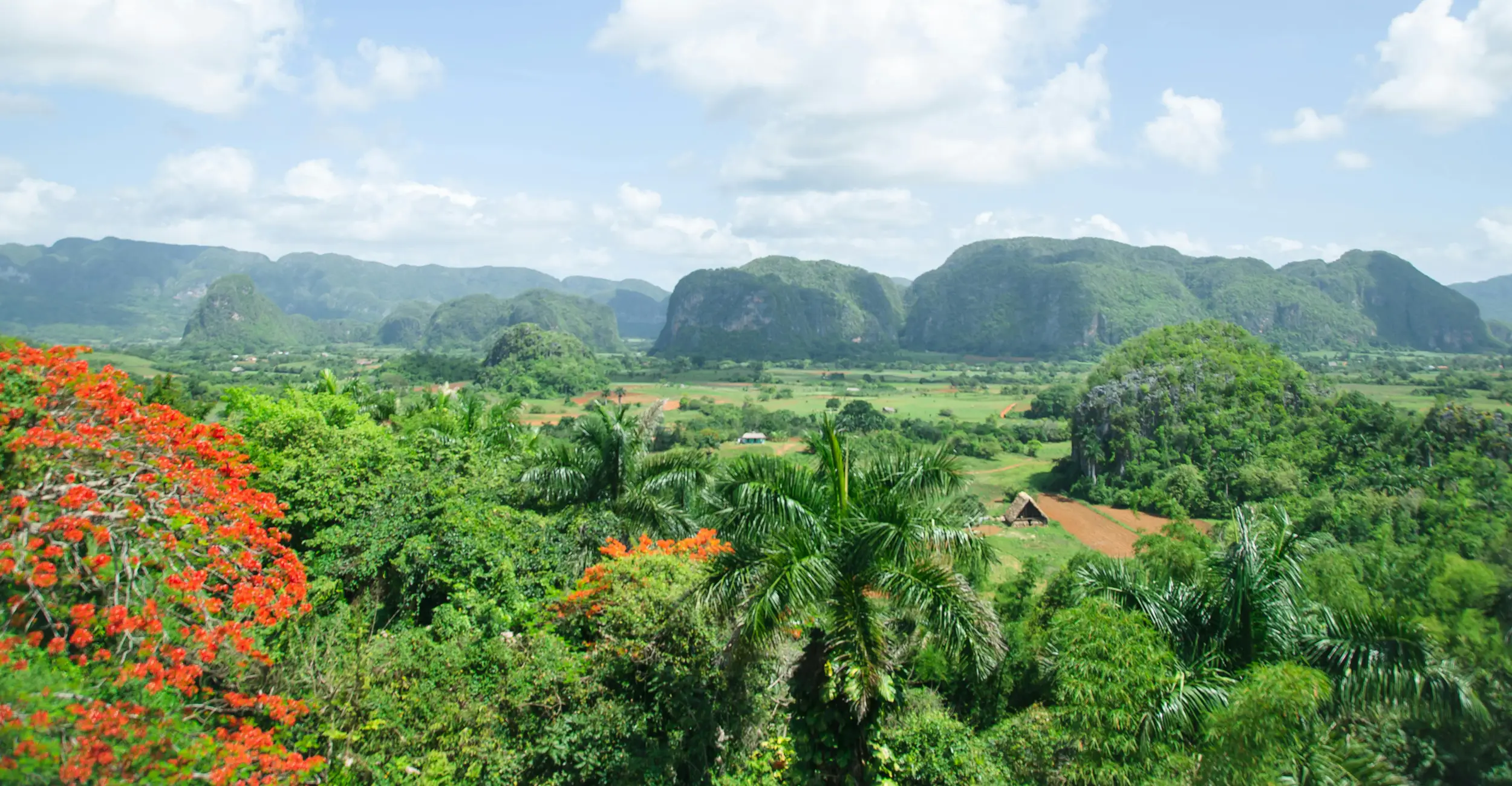 キューバでの熟練したメディア制作